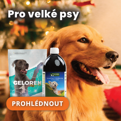 FB kampaň vánoční balíčky L2